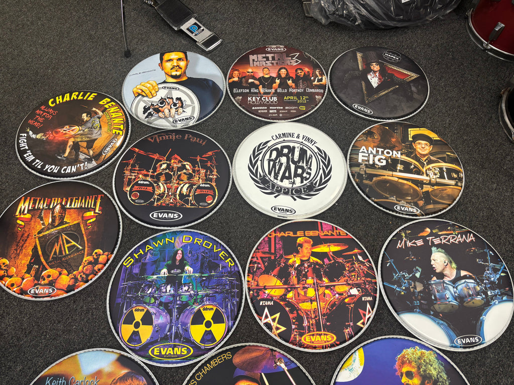 Evans Drum head Collectable skins  12
